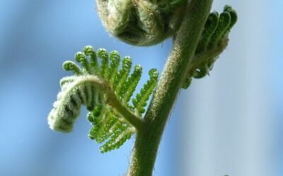 Bettering Your Life Through Personal Development