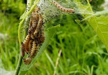 Don’t Get Left Behind, Read This Article On Self Improvement